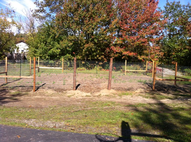 Image for We just finished a record breaking fencing Work Bee at Mission Park Community Garden 