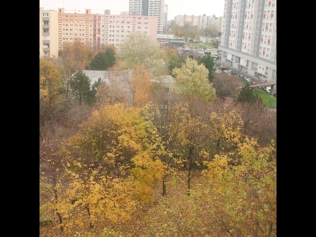 Image for Jeseň z môjho okna